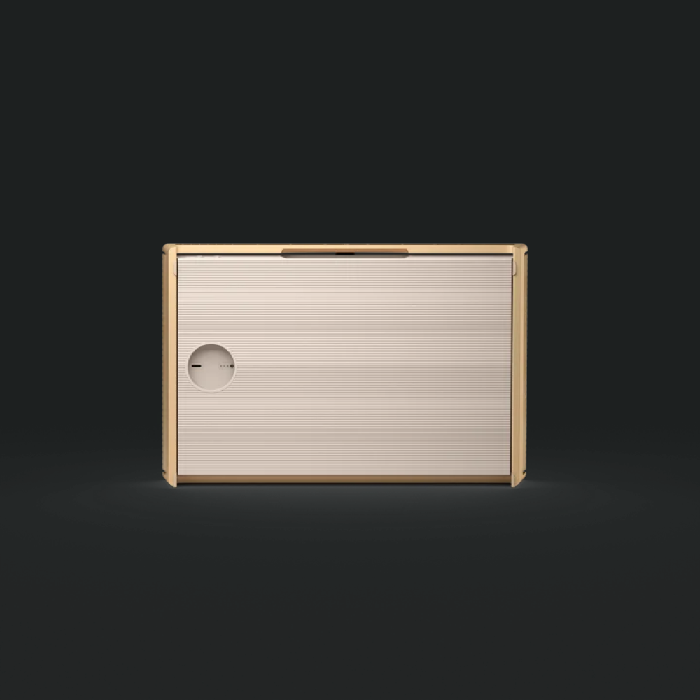 Altoparlant kompakt Bang & Olufsen Beosound Level, Wi-Fi, Ton Gold