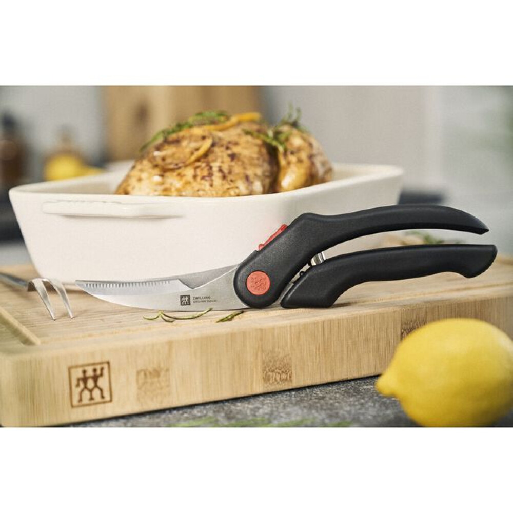 Gërshërë për shpendë 25 cm, plastikë - Zwilling