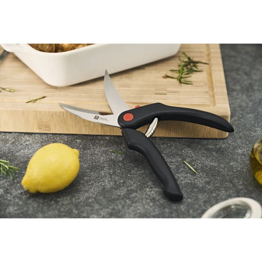 Gërshërë për shpendë 25 cm, plastikë - Zwilling
