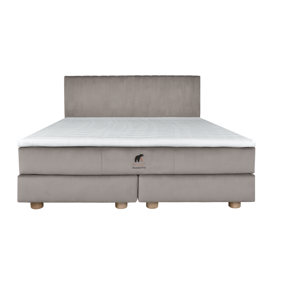 Krevat Marmorelle boxspring, thjesht i veshur me susta, lartësia e kokës 110 cm, dyshek i përfshirë, pa sipër