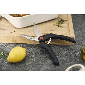 Gërshërë për shpendë 25 cm, plastikë - Zwilling