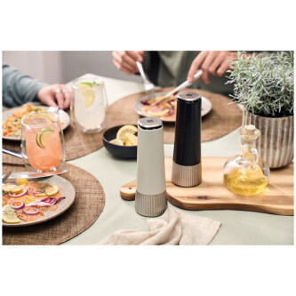 Set mullinjsh për erëza - Zwilling